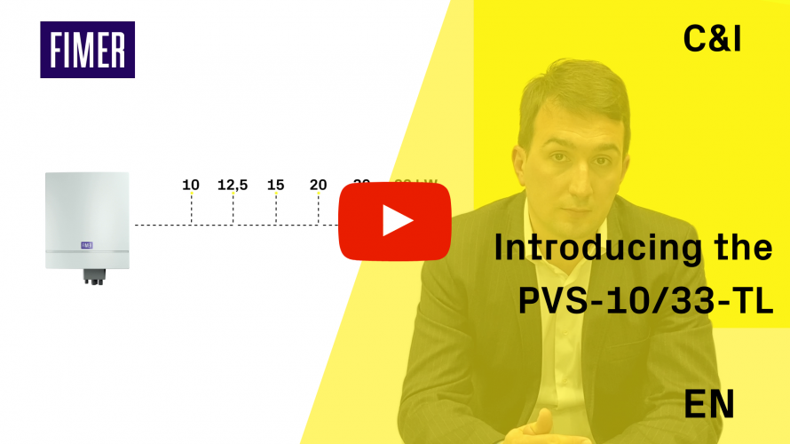 pvs-10/33
